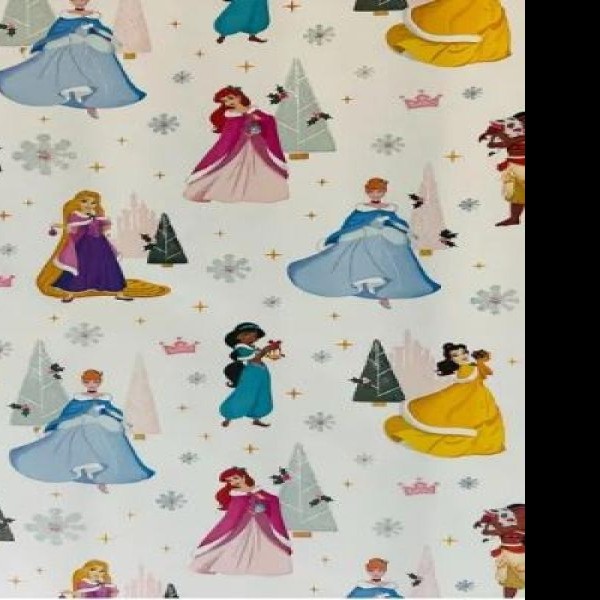 PAPEL COUCHE PRINCESAS NAV. DIPAK 50X70 CM. E.25 C.500